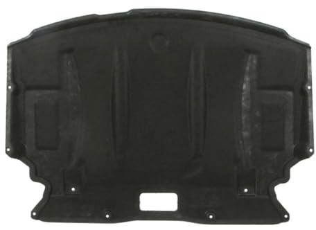 BLIC 6601-05-0000035P Motorabdeckung Kompatibel mit BMW 5 Limousine E60 51717061943