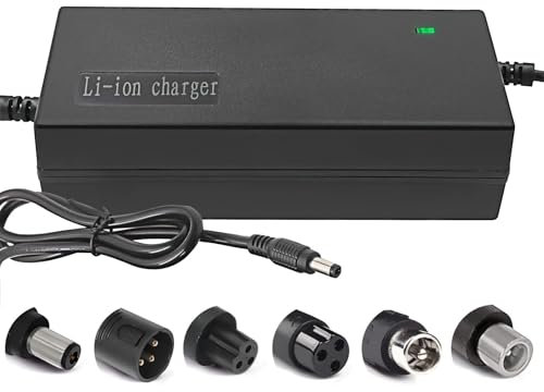 29.4V 42V 54.6V 58.8V 67.2V 84V 96.6V Li-ion battery multi-function charger 2A 5A with cooling fan 24V 36V 48V 51V 60V 72V (42V 2A)