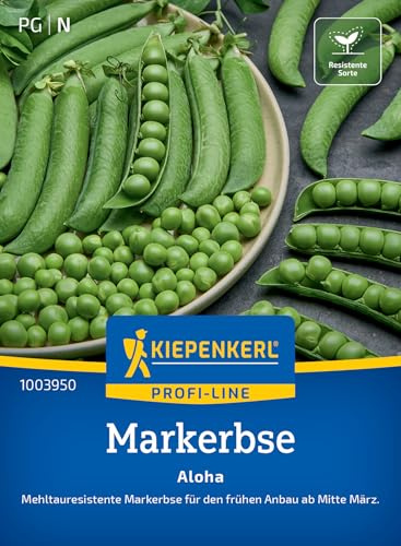 Kiepenkerl Markerbsensamen Aloha 1003950, Gemüsesaat | Wuchshöhe 60-70 cm