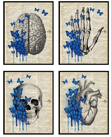 Insire Anatomy Art Vintage Anatomie Wandkunst Totenkopf Wandkunst – Set von 4 (20.3x25.4 cm) Medizinische Poster, Krankenschwester Büro Dekor, Schädel Poster – ungerahmt