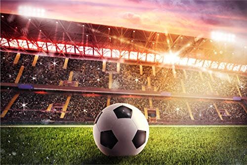 Muralo Selbstklebende Fototapete 254x184 Wohnzimmer Fußball Stadion Moderne Tapete Schlafzimmer Wandbilder Wandtapete Wandtattoo XXL Br. 254 cm x Hö. 184 cm