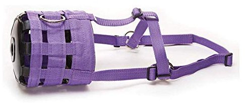 William Hunter Equestrian - Muzzle to limit the grass burned by the horse