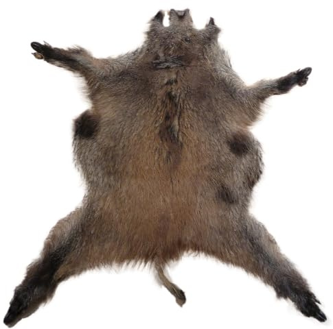 XXL WILDSCHWEINFELL Wildschwein echtes Fell Schwarzwild - Schecke ca.120x85 cm/WS-07
