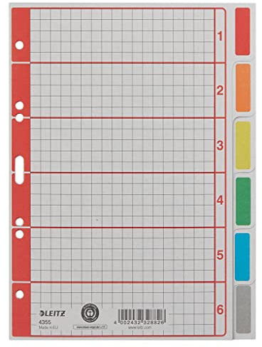 Esselte Leitz Karton Register blanko 6 Blatt A5 Karte, grau