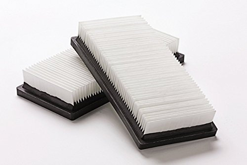 Nilfisk Original 302002842 Flachfilter 2 Stück