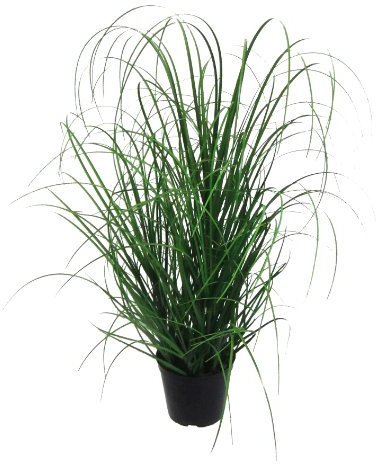Gasper Kunstpflanze Grasbusch im Kunststofftopf, Farbe: Grün, in der Höhe: 60 cm, 104094-00