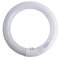 Circolina 32Watt T9 4Pin G10Q 4200K Lumen 2300
