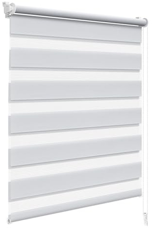 WOLTU Doppelrollo Klemmfix ohne Bohren 75x220 cm, Grau | Duo Rollos für innen Fenster & Tür, Zebrarollo Lichtdurchlässig Fensterrollo Seitenzugrollo Verdunkelnd, Stoffbreite 72 cm