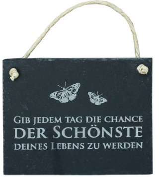condecoro Schiefer Schild 'Gib jeden Tag die Chance' Schiefertafel Wandbild 16x13