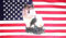 U24 Fahne Flagge USA Wolf mit Adler 90 x 150 cm