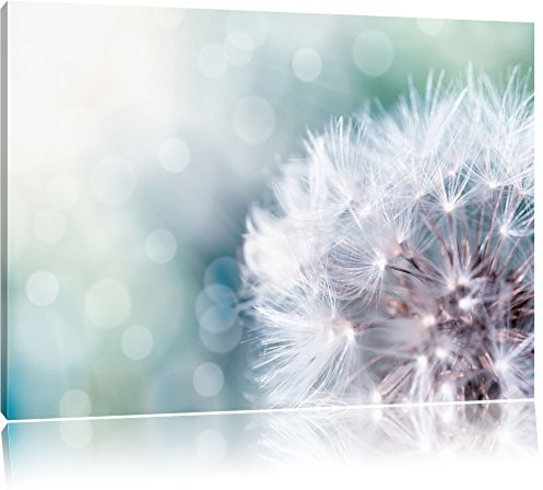 Pixxprint Zauberhafte Pusteblume, Größe: 100x70cm, Leinwandbild, fertig gespannt, Wandbild, Dekoration, Kunstdruck, kein Poster