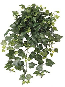 kunstpflanzen-discount.com Künstliche Efeu Hedera Gala Efeuranke Efeubusch 65cm mit 262 naturgetreu geaderten Blättern und UV-Schutz