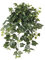 kunstpflanzen-discount.com Künstliche Efeu Hedera Gala Efeuranke Efeubusch 65cm mit 262 naturgetreu geaderten Blättern und UV-Schutz