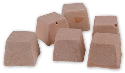 Reptiles Planet - Tortoise Block - Bloc de Calcuim pour Tortues Terrestres