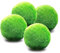 Luffy Mittlere Marimo-moosbälle, äSthetisch Schöne Lebende Pflanzen, Schaffen Eine Gesunde Umgebung, Wartungsarme Spielbälle, Garnelen Und Schnecken Lieben Sie, 4er-pack
