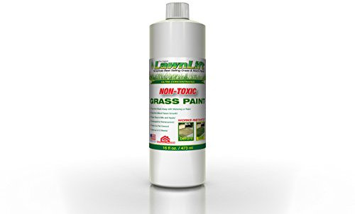 LawnLift - Peinture pour gazon ultra concentrée - 473 ml rend 5.2 L et couvre jusqu'à 37 m² de gazon jaunissant