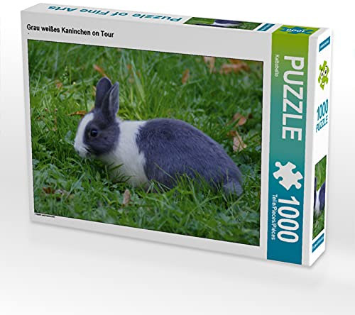 CALVENDO Puzzle Grau weißes Kaninchen on Tour 1000 Teile Puzzle quer | 1000 Teile Lege-Größe 64 x 48 cm Foto-Puzzle für glückliche Stunden