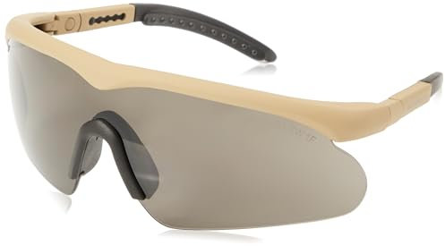 Lunettes de Protection Raptor Swisseye