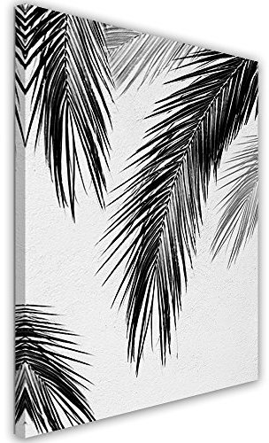 Feeby Impression Sur Toile Palmiers Feuilles 40x50 cm 1 pièce Tableaux Tableau Mural Image Moderne Photo Décoration Murale Artistique Photographie Design Chambre Salon Cuisine Noir Et Blanc