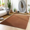 Teppium Rutschfester Kurzflor Teppich 200x300 (200x290 cm) Braun - Waschbar, Flauschig und Extra Weich - Modern Einfarbig für Wohnzimmer, Schlafzimmer, Kinderzimmer, Esszimmer und Küche