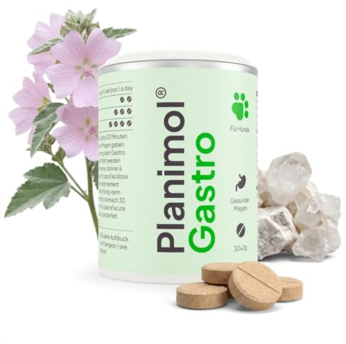 PLANIMOL Gastro – Magentabletten für Hunde & Katzen – 100% natürlich | Bei Schmatzen & Grasfressen | Magentabletten | 100% natürlich | 60 Tabletten