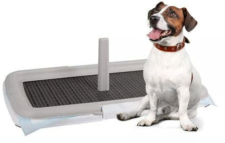 Paluplus Toilette Educativa per Animali, Misura 60x40 cm, tappetino con piedini antiscivolo e Torretta per Cani Maschi, Lettiera per Addestramento cuccioli cane e gatto -0600F