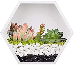Pot de fleurs mural à suspendre - Pot de fleurs géométrique en métal - Pot de fleurs rond pour plantes succulentes, cactus, herbes et plus encore (Hexagon)