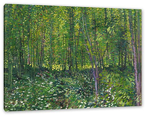 Pixxprint Vincent Van Gogh - Bäume und Unterholz, Größe: 120x80cm, Leinwandbild, fertig gespannt, Wandbild, Dekoration, Kunstdruck, kein Poster