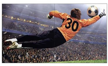 LG DIS Public 49 Compatible con 49VL5PJ-A videowall IPS