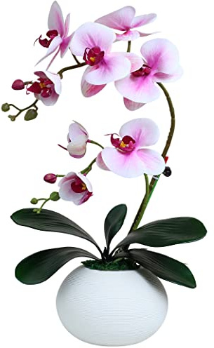 Forlaoers Künstliche Orchideenpflanze, lila, Phalaenopsis, Orchideen, künstliche Blumen in Keramikvase, Heimdekoration, für den Innenbereich, Dekoration, Badezimmer-Arrangements