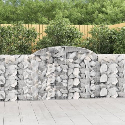 BaraSh Gabionen mit Hochbogen 13 STK 300x30x100/120cm Verzinktes Eisen Gabionen Zaun Gabione