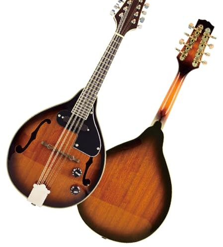 Mandoline Mit ABS Koffer Professionelles Performance Instrument Massivholzinstrument Mandoline
