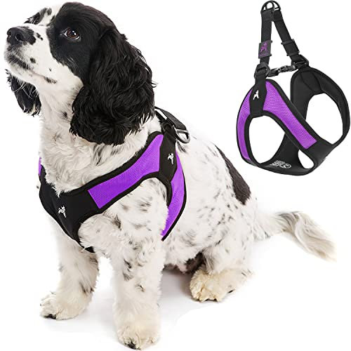 Gooby Escape Free Easy Fit Hundegschirr, kein Ziehen, patentiert, mit Schnellverschluss-Schnalle, Geschirr für unterwegs, für kleine oder mittelgroße Hunde, Lila, Größe L