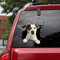 Ocean Gift Jack Russell Terrier Auto Aufkleber, Hund Auto Aufkleber 2 Stück - Realistische Jack Russell Terrier Aufkleber für Autofenster, Wände Serie 109 Größe 20,3 x 20,3 cm