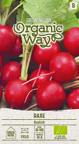 Organic Way | RÁBANO RAXE a partir de semillas | Semillas de hortalizas | 1 paquete