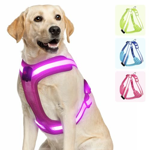 PZRLit Hundegeschirr Leuchtend, Leuchtgeschirr für Hunde Aufladbar, Leuchtendes Hundegeschirr LED, Leucht Geschirr für Hunde Reflektierend mit Licht Sicherheit im Dunkeln-Rosa, Groß