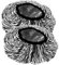 BESTYASH 2pcs Reusable Hair Oil Caps Deep Conditioning Cap Heat for Hair Spa Shower Tin Foil Hat for Women