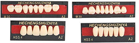 Falsche Zähne der Harzprothese, Dentalmaterial Kunstharz Falsche Zähne Füllung für Patienten mit Mundhöhlenverlust, Zahnpflegewerkzeug Obere und Untere Kunstharz Zähne