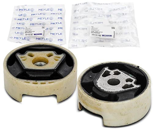 2x Original MEYLE 1001990161 1001990162 Motorlager Hinten Kompatibel mit Golf V 1K1 2003-2009 P.a.s.s.a.t 3C2 2005-2010 A3 8P1 2003-2012 TT 8J3 2006-2014 Octavia II 1Z3 2004-2013