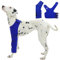 Hjyokuso Dog Leg Wound Protector - Dog Recovery Sleeve For Front Left Leg Surgery, Breathable, Stretchy, Easy Velcro, Ideal For Allergies And Skin Conditions, Blue XXXL