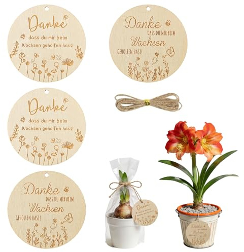RgitFzi 4er Set Holzanhänger 8x8cm, Danke dass du mir beim Wachsen geholfen hast, Geschenk Erzieherin Abschied, Naturholz Pflanzenstecker für Lehrer Mit Juteseil