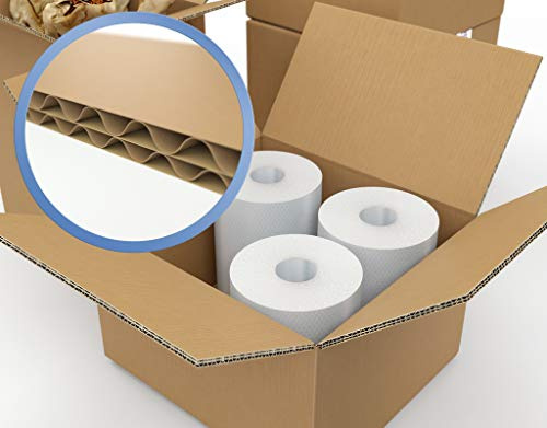 Ambassador 307743 Packing Carton Double Wall Strong Flat-packed 610x457x457mm Ref SC-67 [Pack of 15] - Brown