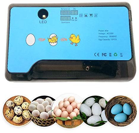 Smart Mini Egg Hatching 12 Eier Inkubator Automatische Temperaturregelung Hatcher für Hühner, Enten, Vögel