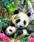 Kreuzstich-Set, 11-fädig, gestempelt, Meecaa Blume Tier Bambus Panda Stickset mit Zubehör, vorgedruckt (36 cm x 46 cm) (Panda)