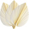 Jrifedptry Hojas de palma secas blancas grandes, calidad premium, 3 piezas, elegante decoración moderna y de boda, arte de pared