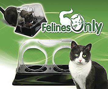 Felines Only - Purrrfect Cat Dish - Veterinarian-Designed Feeding Bowl Keeps Dogs Out