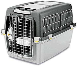Stefanplast 4-97443 Gulliver 4 Iata Plus, Transportbox, 51 x 50 x 71 cm, Grau