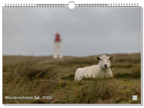 artboxONE Kalender 2026 Wunderschönes Sylt Wandkalender A3 2026 Städte