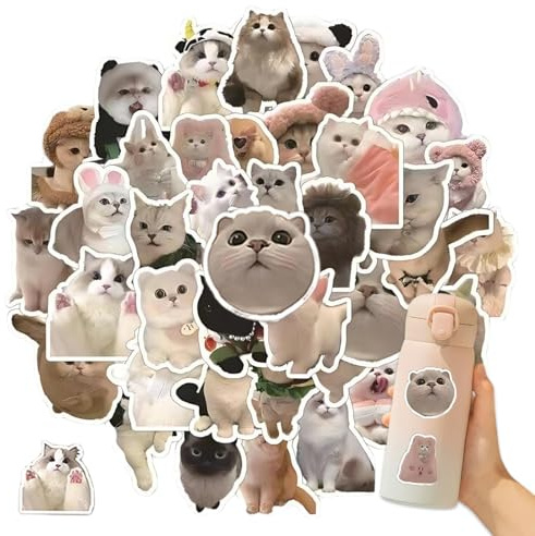 OIUAVYR 60 Stück Meme Sticker Set, Lustige Katzen Aufkleber, Wasserfeste Vinyl Aufkleber für Auto Laptop Skateboard Fahrrad Moped Motorrad Computer, Süße Ästhetische Sticker für Katzenliebhaber