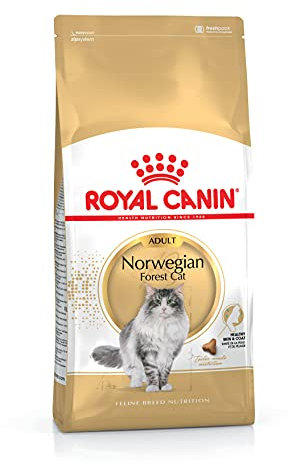 Royal Canin Katzenfutter Norwegische Waldkatze 10 kg, 1er Pack (1 x 10 kg)